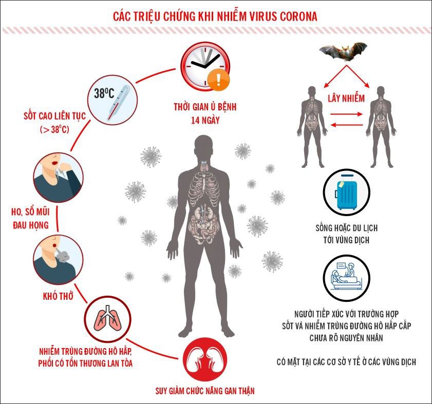 Những lưu ý quan trọng trong việc phòng chống virus corona mà mọi người cần biết 1